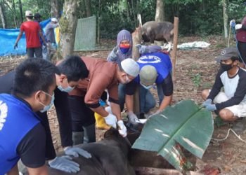 Qurban 1422 H di Lingkungan LDII Kalsel
