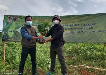 Ketua DPD LDII Tala Dukung Penanaman Pohon