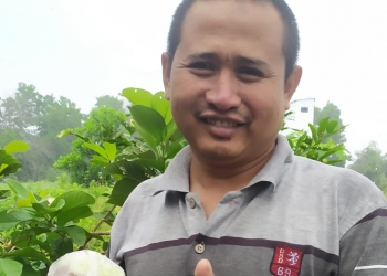 Sumanto, Petani LDII Tala Sukses Berkebun Jambu Kristal