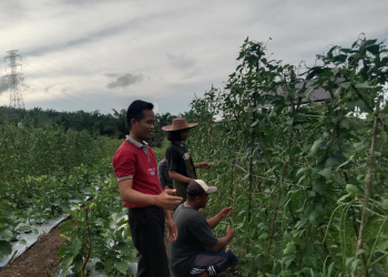 Ketua LDII Tala Ajak Pemuda Desa Bangga Jadi Petani