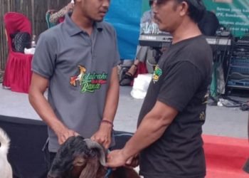 Wildan, Pemuda LDII Tapin yang Memilih Menjadi Petani Milenial