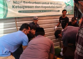 LDII Tabalong Sembelih 30 Ekor Sapi Pada Idul Adha Tahun Ini