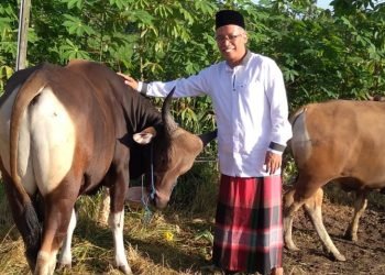 LDII Kalsel Tebar 501 Ekor Hewan Kurban Senilai Rp 8 Miliar