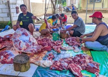 LDII Tala Potong 92 Hewan Kurban pada Iduladha 1444H/2023M