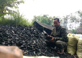 Manfaatkan Limbah Arang, Ketua LDII Tala Raih Penghargaan dari PT Pupuk Indonesia Persero
