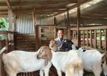 Menjelang Idul Adha 1445H, Ketua LDII Tala Ingatkan Ini