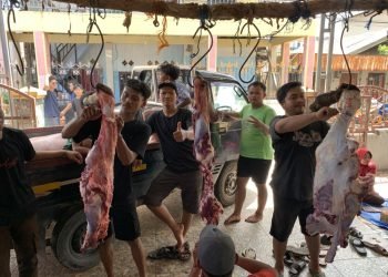 PAC LDII Pelambuan Sembelih 8 Ekor Sapi Kurban