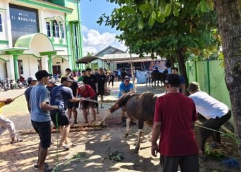 Kurban, Momentum Tingkatkan Ketakwaan dan Lahirkan Generasi Unggul ala Ibrahim-Ismail