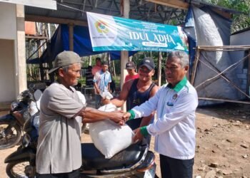 LDII Tanah Laut Bagikan Belasan Ribu Kantong Daging Kurban