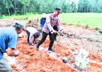 Dukung Program 1 Juta Hektar Jagung, Polsek Pulaulaut Utara Gandeng LDII