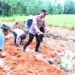 Dukung Program 1 Juta Hektar Jagung, Polsek Pulaulaut Utara Gandeng LDII 
